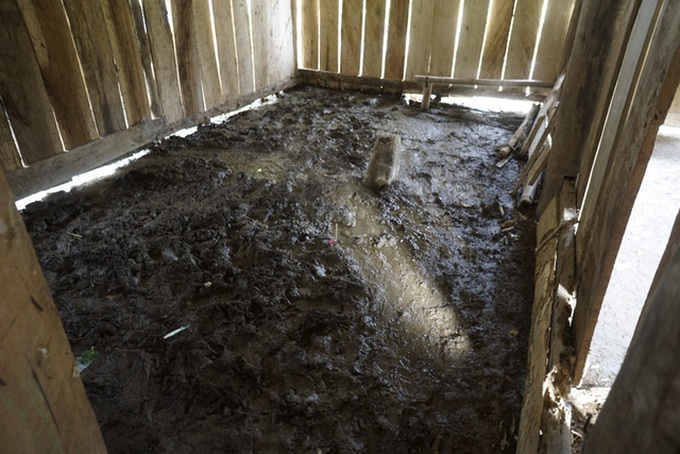 Dantri/DTiNews classrooms in disadvantaged areas - 7