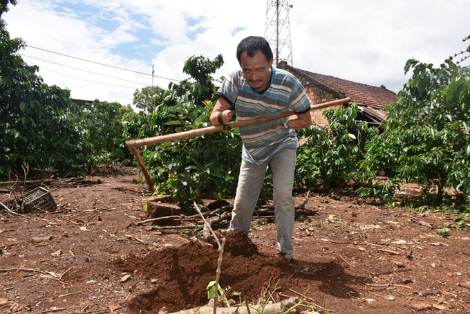 Ailing couple in Gia Lai in desperate need of help - 1 Ailing couple in Gia Lai in desperate need of help - 1
