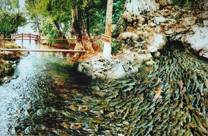 Project to restore wetlands reserve launched - 1