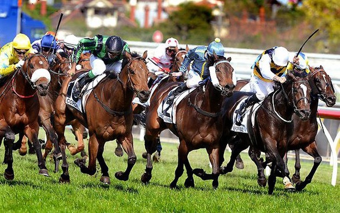 Horse racing proposed for Hanoi - 1