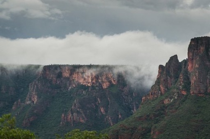 Extinction fears 'alarmist': study - 1