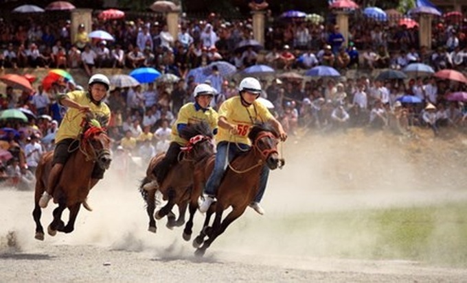 New regulations legalise betting services - 1