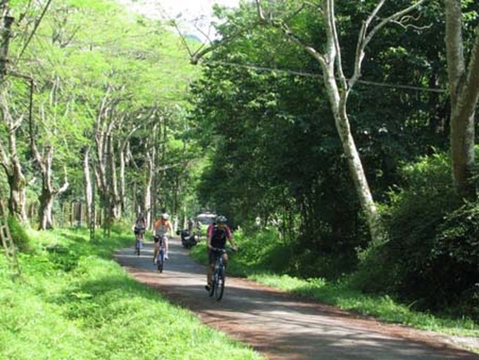 Cuc Phuong National Park offers escape from humdrum city life - 1