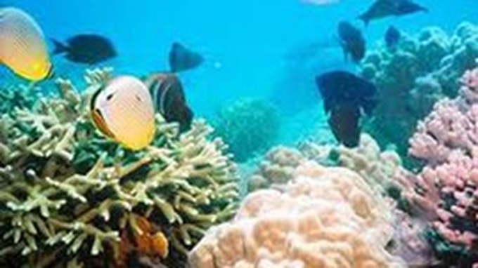 Activities mark International Biodiversity Day - 1 Activities mark International Biodiversity Day - 1