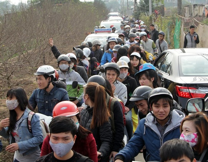 Young flock to see Nhat Tan peach blossoms - 1 Young flock to see Nhat Tan peach blossoms - 1