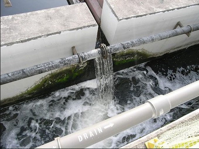 Vietnamese try to regenerate water waste - 1 Vietnamese try to regenerate water waste - 1