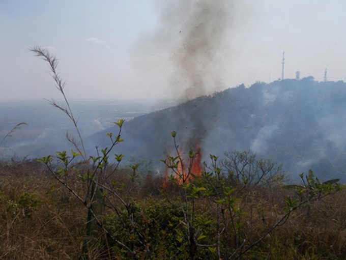 Fire destroys 3ha of Ham Rong Mountain forest - 1