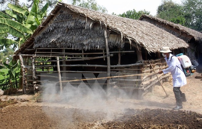 Health sector warns of H7N9 outbreak in Vietnam - 1