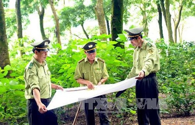 Vietnam intensifies efforts to reduce emission - 1 Vietnam intensifies efforts to reduce emission - 1