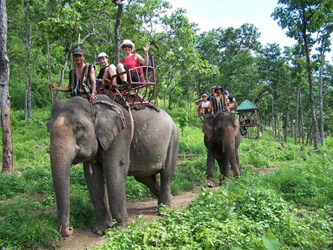 Eight forests suitable for nature enthusiasts in Vietnam - 5