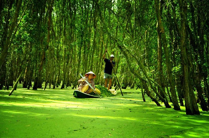 Eight forests suitable for nature enthusiasts in Vietnam - 7