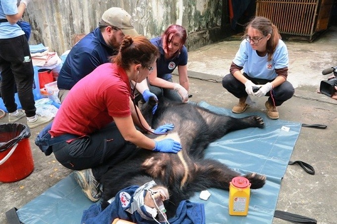 Vietnam links up with int’l partners for conservation - 1