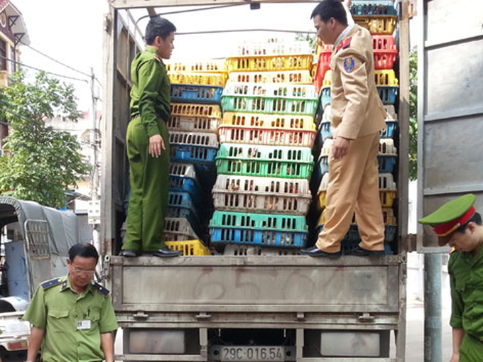 Chicken smuggling rampant in Vietnam - 1