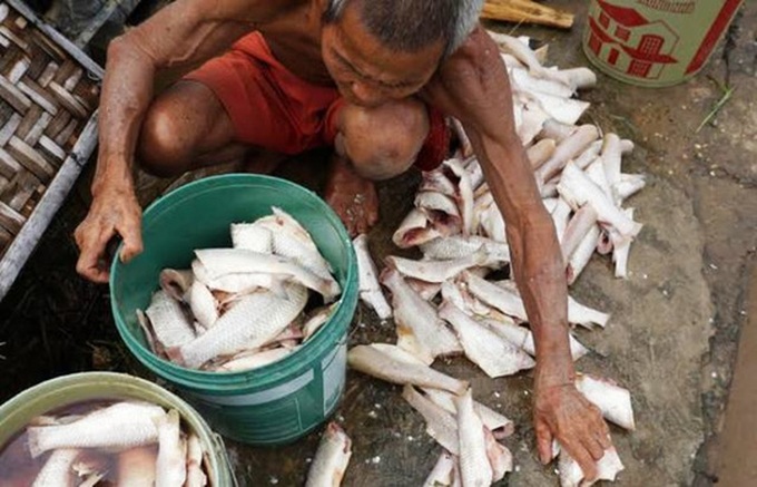 70 tonnes dead in Ma River - 1