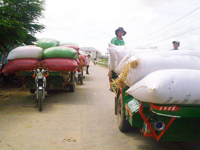 Speculators pounce on rice market as prices rise - 1
