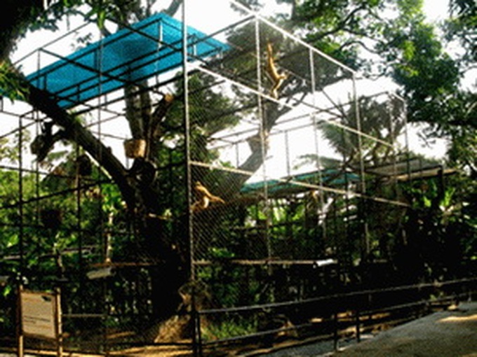 More wildlife rescue station built - 1