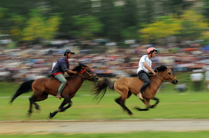 Horse race festival stirs up Bac Ha District - 2