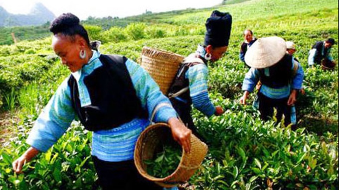 HCM City hosts international forum on poverty reduction - 1 HCM City hosts international forum on poverty reduction - 1