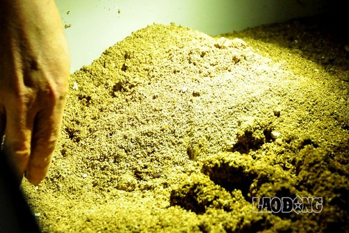 Illegal cockroach farms bring lawsuit - 3 Illegal cockroach farms bring lawsuit - 3