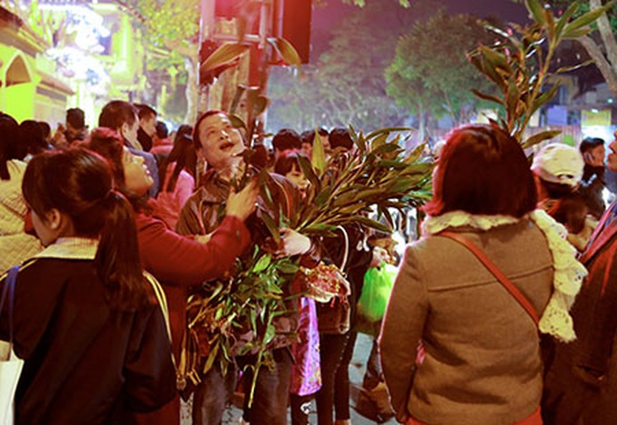 Firework performances welcome the Year of the Monkey - 15
