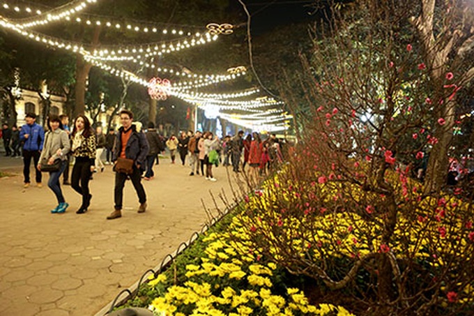 Firework performances welcome the Year of the Monkey - 5