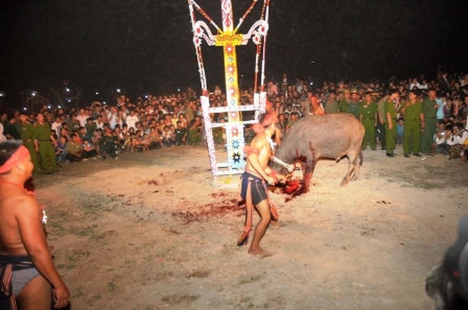 Traditional buffalo stabbing festival in Dak Lak Province - 7 Traditional buffalo stabbing festival in Dak Lak Province - 7