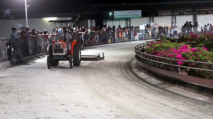 Impressive greyhound racing in Vung Tau - 15