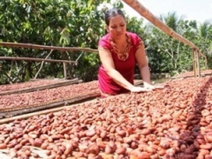 NGOs commit USD165.5 million to Vietnam by 2012 - 1