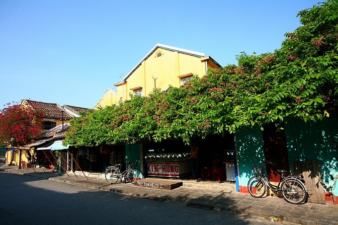 Green trees make Hoi An ever charming - 2