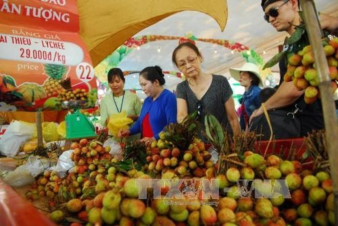 HCM City theme park set to host Southern Fruit Festival - 1