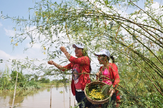 Transcending the mundane in An Giang - 1