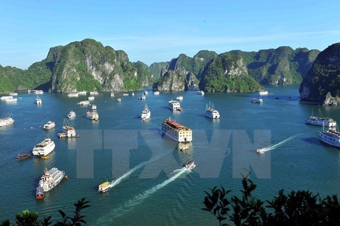 Plan helps protect aquatic resources in Ha Long Bay - 1