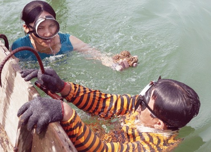 Nhật Lệ River oysters offer a risky livelihood - 1 Nhật Lệ River oysters offer a risky livelihood - 1