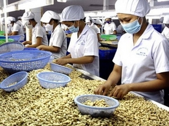 Vietnam’s 2012 economy to grow by 5.2 percent - forum - 1