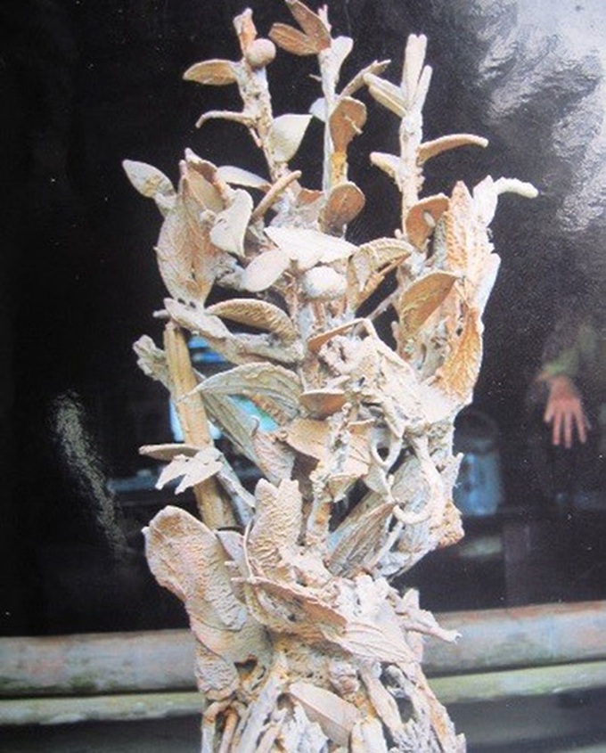 Explore one of Vietnam's most special waterfalls in Thanh Hoa - 2