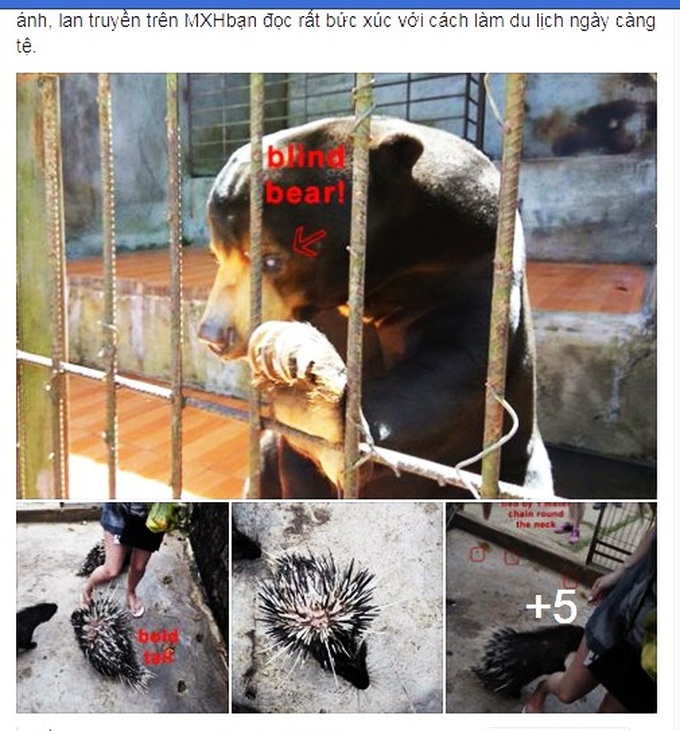 Tourist site in Dalat accused of animal mistreatment - 1