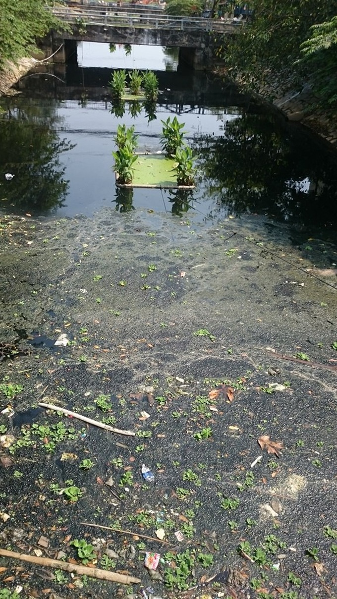 Danang sees more polluted canals - 5 Danang sees more polluted canals - 5