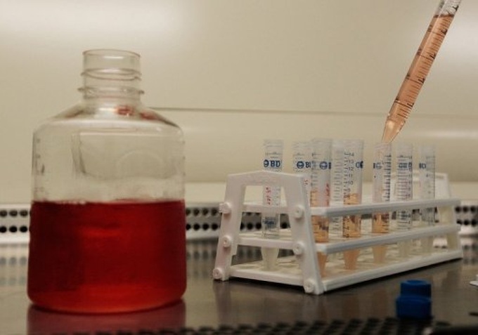 'Gap' for HIV vaccine efforts after latest setback - 1