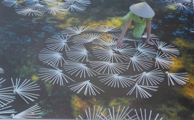Photos featuring Vietnam’s heritage to be exhibited nationwide - 4