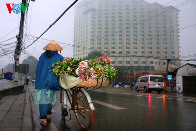 Quang An flower market at night - 4