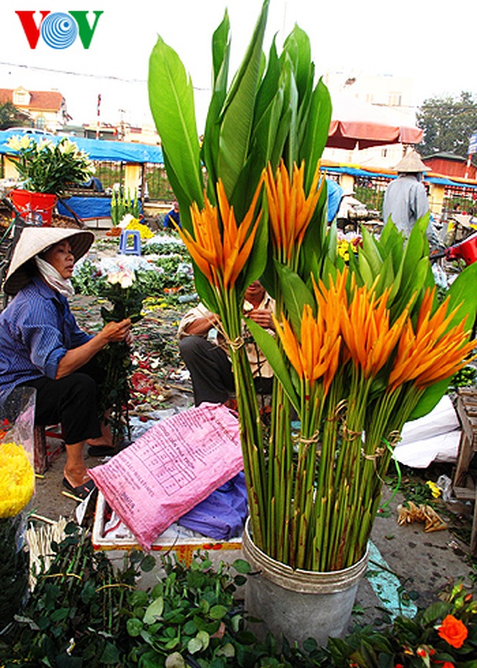 Quang An flower market at night - 6