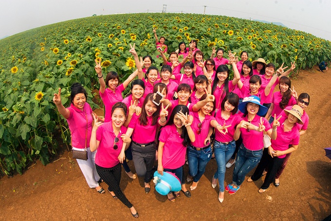 Nghe An’s stunning sunflowers - 7