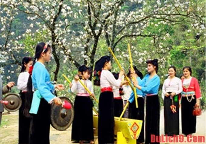 Ban Flower Festival 2017 slated for March - 1