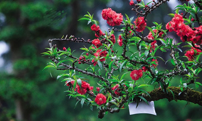 Looking back on 30 years of Doi moi - 1