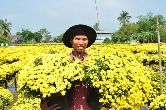 Sa Dec flower village busy preparing for Tet - 1