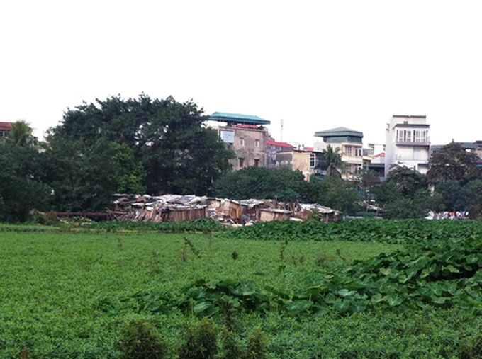 Hanoi loses 72,000 square metres of lake in five years - 1