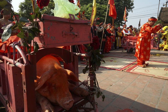 Pig slaughter rite held in private to avoid public controversy - 1