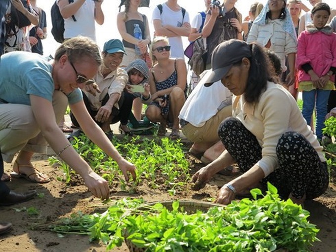 Homestay service in Hoi An attract visitors - 1