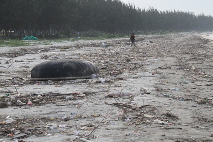 Rubbish swamps Danang beach - 2 Rubbish swamps Danang beach - 2