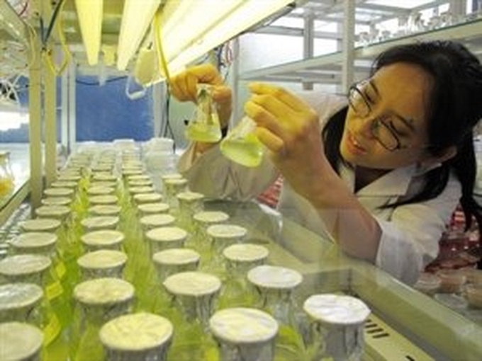 Russian educational cooperation expands - 1